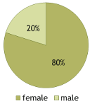 Visitor demographics: age distribution