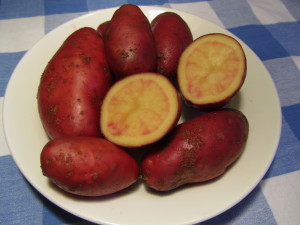 Perunalajike ’Rote Emallie’