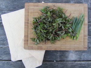 Vuohenputkea ja pillisipulia