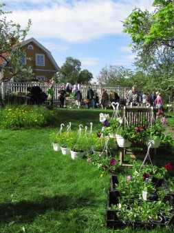 Annalan taimitorilla 2012 Annalan taimitorilla 2012