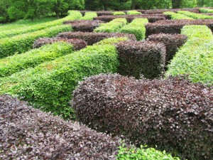 Scone Palacen labyrintti