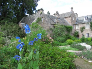 Flower Garden, Cawdor Castle Gardens: sinivaleunikko Flower Garden, Cawdor Castle Gardens: sinivaleunikko