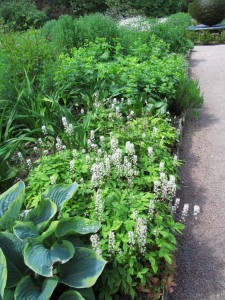 Slate Garden, Cawdor Castle Gardens: kalpeita istutuksia Slate Garden, Cawdor Castle Gardens: kalpeita istutuksia