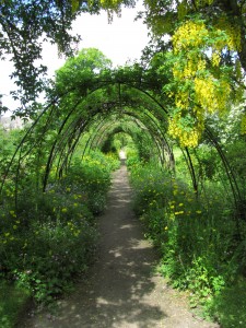 Flower Garden, Cawdor Castle Gardens: kukkiva kaarikäytävä Flower Garden, Cawdor Castle Gardens: kukkiva kaarikäytävä