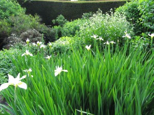 Walled Garden, Cawdor Castle Gardens: iirikset Walled Garden, Cawdor Castle Gardens: iirikset