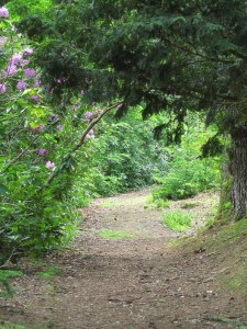 The Big Wood, Cawdor Castle Gardens The Big Wood, Cawdor Castle Gardens