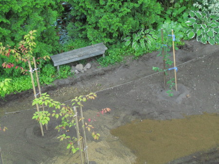 Kirsikkapuisto valmisteilla