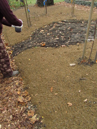 Niittyä kylvämässä