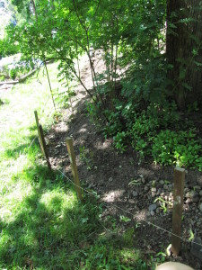 Tukimuurin tekemistä aloitellaan