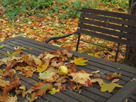 Ruskasyksy puutarhassa