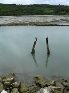 Sečovljen luonnonpuistossa