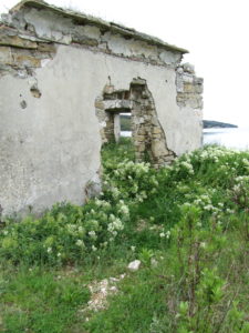 Suolatyöläisten asunnot rapistuvat vanhalla suolakentällä