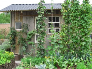 Puutarhavaja Puutarhavaja