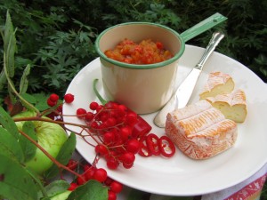 Pihlajamarja-omenarelissi