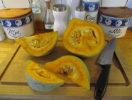 Kurpitsa ’Blue Ballet’