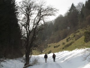 Schäfertal