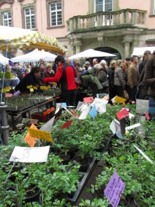 Esslinger Gartentage