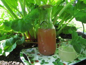 Siimeksessä, raparperin alla