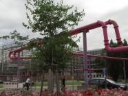 Ruusutarha Berliinissä