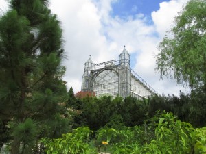 Kasvitieteellinen puutarha Berlin-Dahlemissa