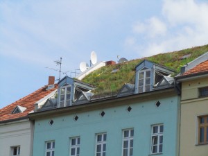 Vihreä kerrostalokatto Moritzplatzilla Berlin-Kreuzbergissä