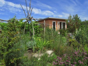 Siirtolapuutarha IGS Hampuri-Wilhelmsburgissa