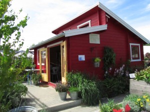 Siirtolapuutarhamökki IGS Hampuri-Wilhelmsburgissa