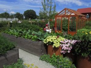 Viljelylaareja IGS Hampuri-Wilhelmsburgissa