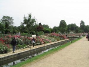 Kanava IGS Hampuri-Wilhelmsburgissa