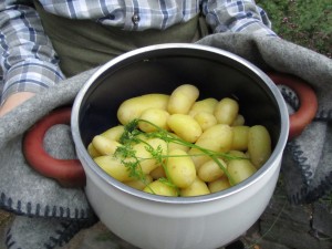 Keitetyt uudet perunat