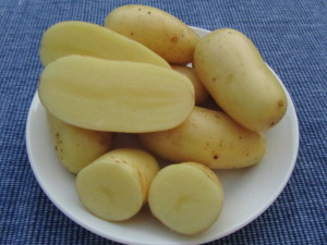 Perunalajike ’Linzer Delikatess’