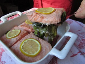 Lohta mangoldipedillä