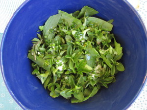 Vihersalaatti ruohosipuli-piparjuurivinaigrettella