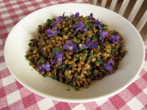 Spelttijyviä villiyrttien ja tuoksuorvokin kera